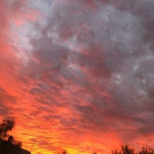 Meet your Posher, Giselle